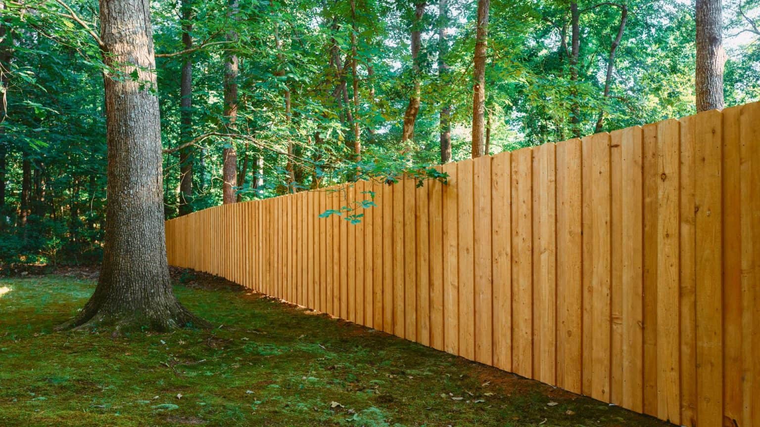 Privacy Fence What Are The Benefits