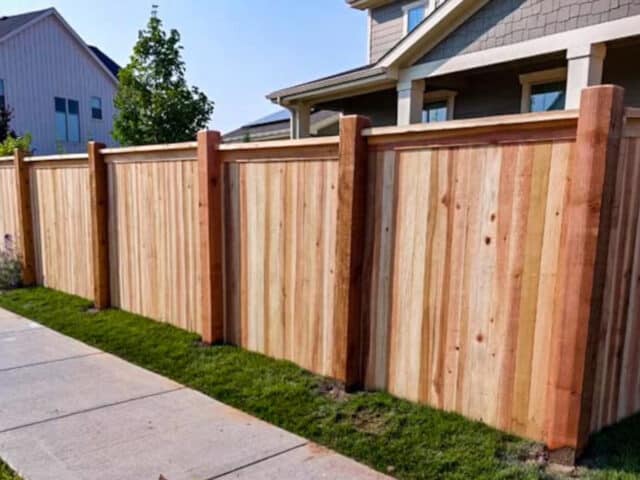 Cedar Fencing: Why is it Such a Popular Choice?