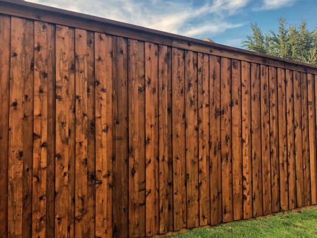 What Is the Best Wood for Fences?