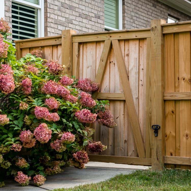 Wood fence next to flower bush