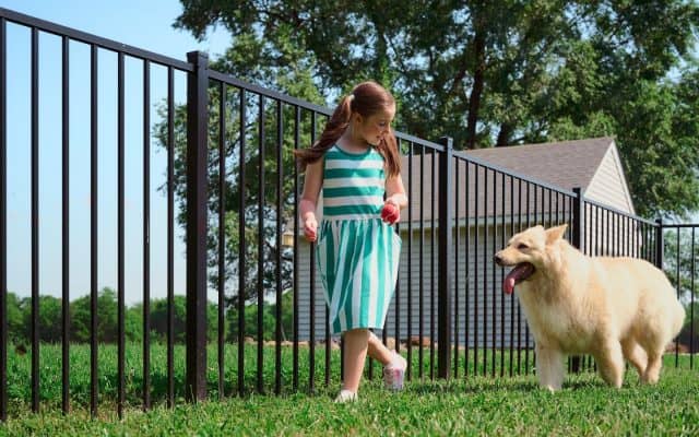 aluminum dog fences