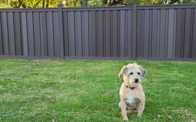 Burlington Trex Fence Installation