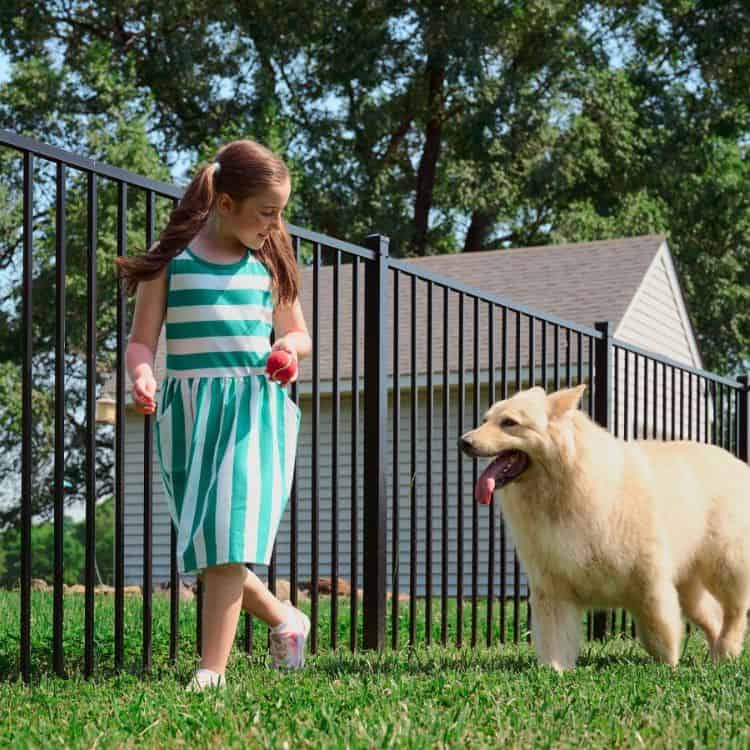 katy fence installers