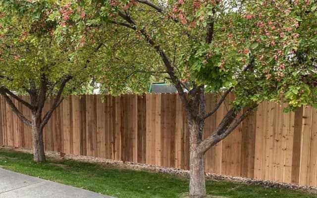 cedar fence installers