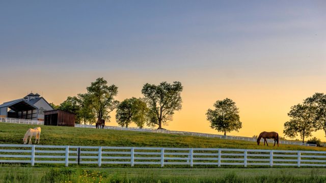 four board horse fence installers