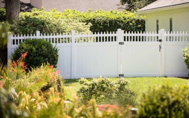 privacy fence ideas 