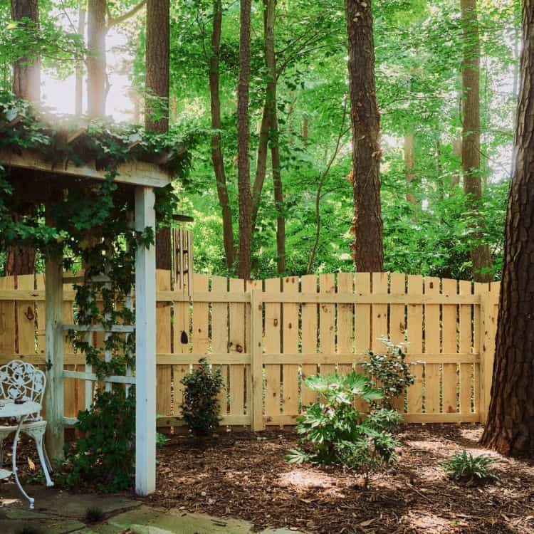 scalloped wooden fence