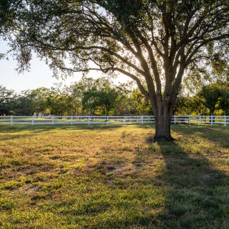 agricultural fencing contractors near me chattanooga tn