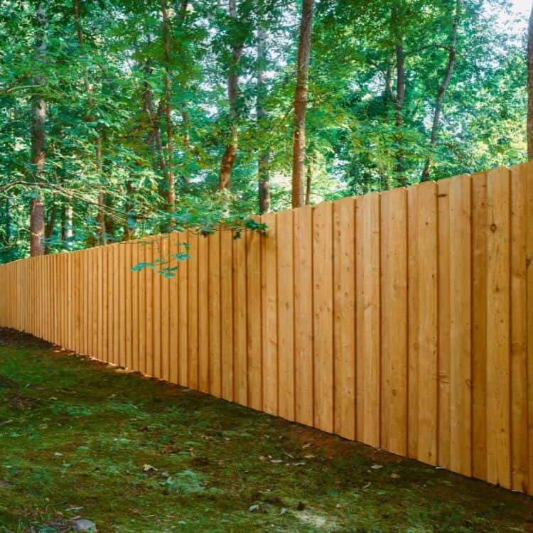 privacy fences