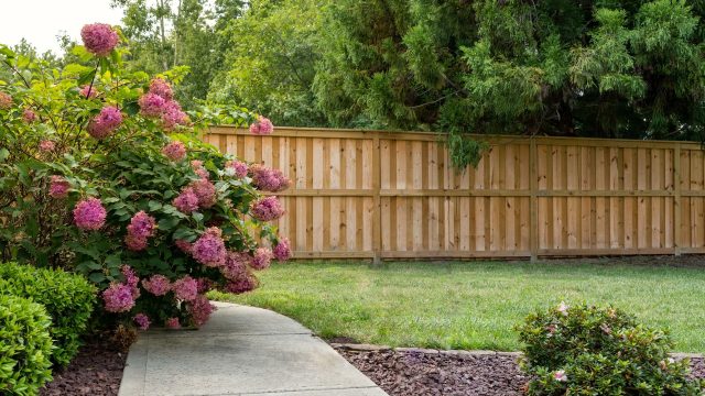 wooden privacy fences