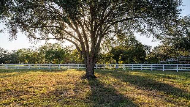 Are You Searching For Livestock Fencing Contractors Near Me?