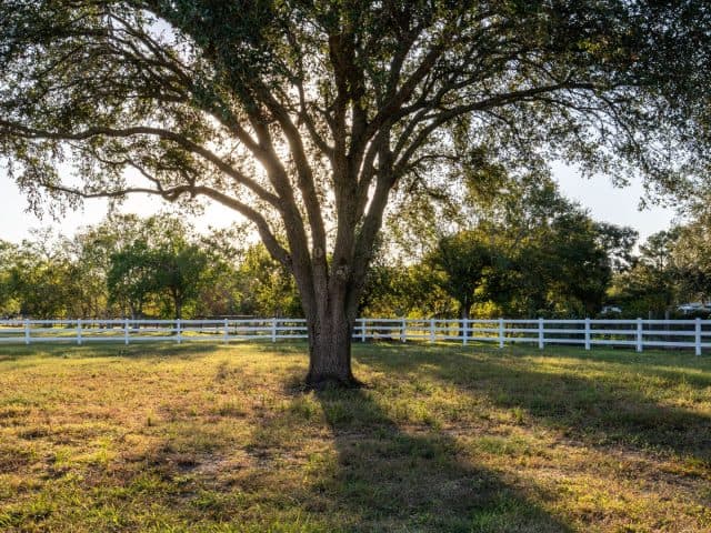 Are You Searching For Livestock Fencing Contractors Near Me?