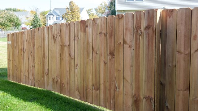 cedar wood fencing Denver