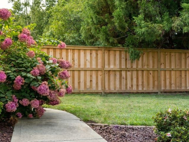 How to Choose the Right Garden Fence for Your Home