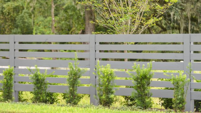 modern wood fence color ideas