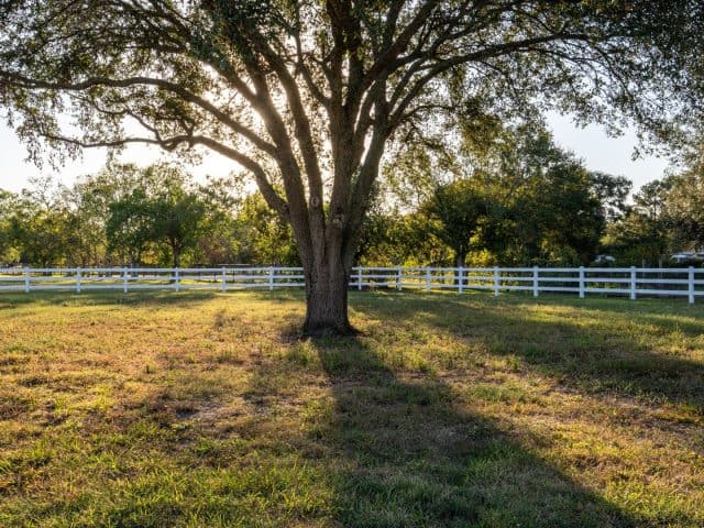 Superior Fence & Rail Is Has The Ranch Style Fence You Want And We Aren’t Horsin’ Around!