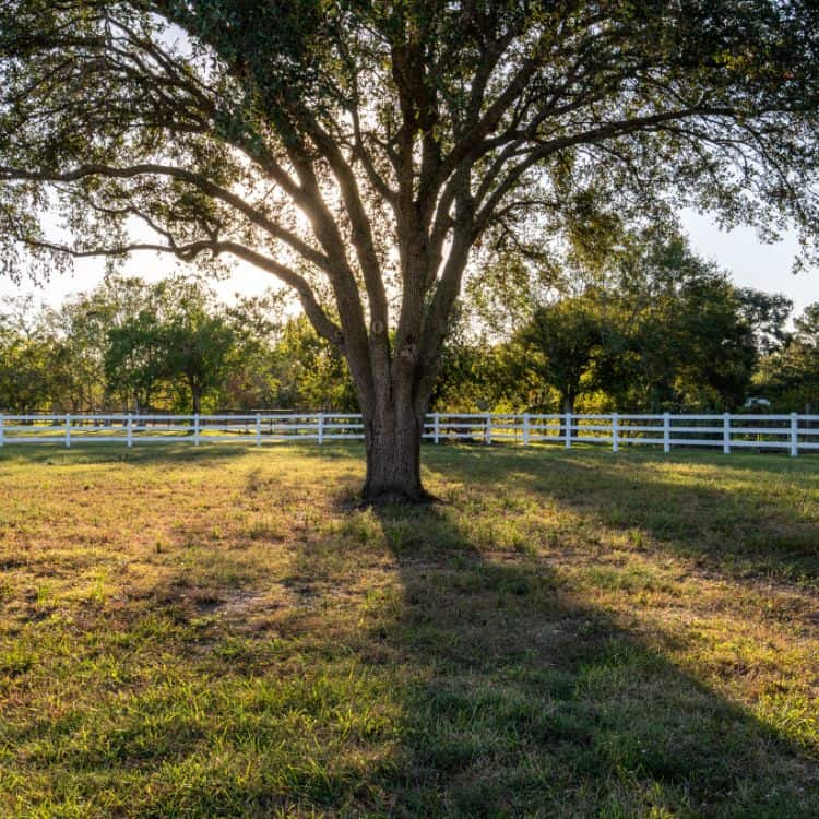 horse fence ideas