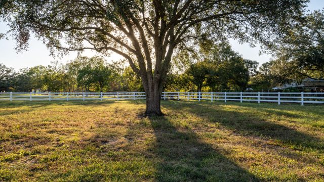 wooden horse fences