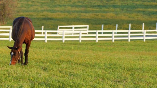 ranch rail fence styles