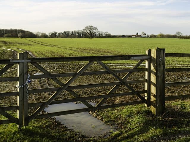 Agricultural fencing