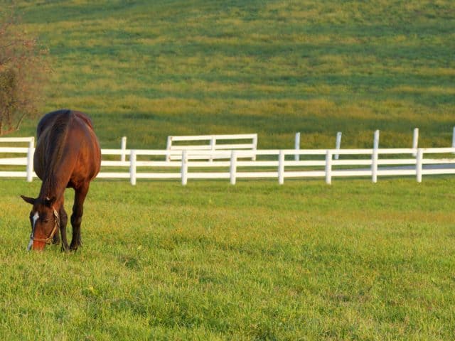 Ranch rail fence installer