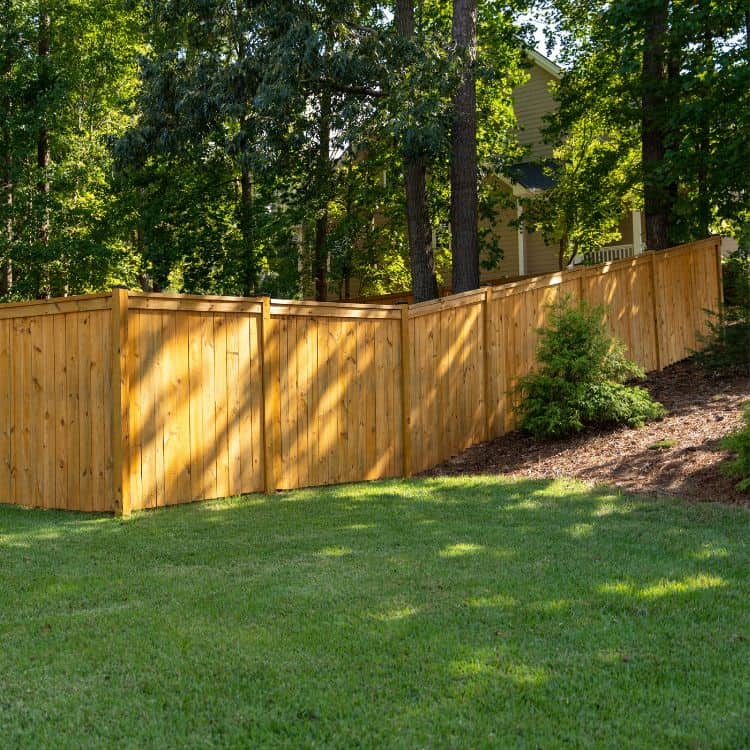 exploring privacy fence options