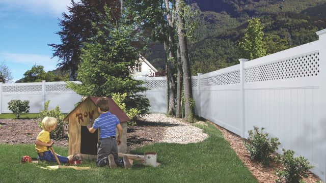 dog fence styles