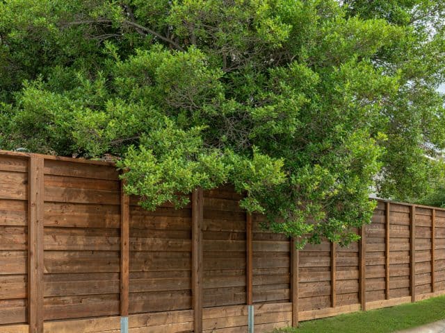 Finding Your Perfect Providence Fence Company in The Creative Capital