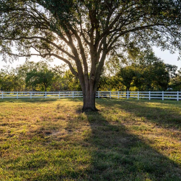 pasture fence installers in chattanooga tn