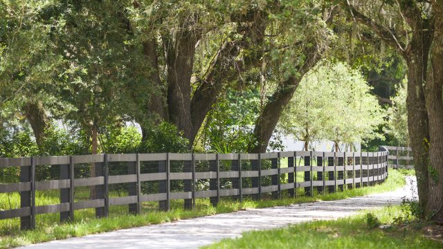 wooden horse fence