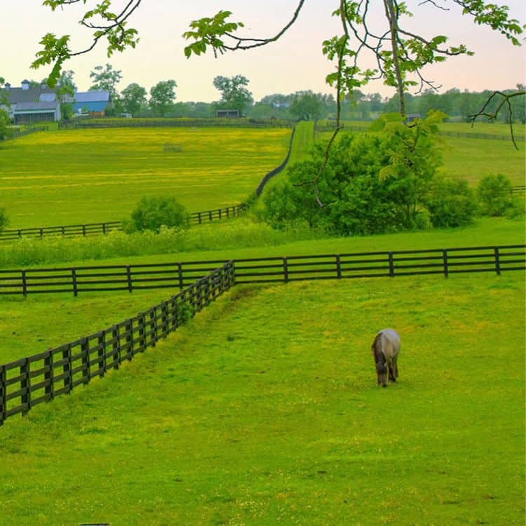 horse fence builders near me