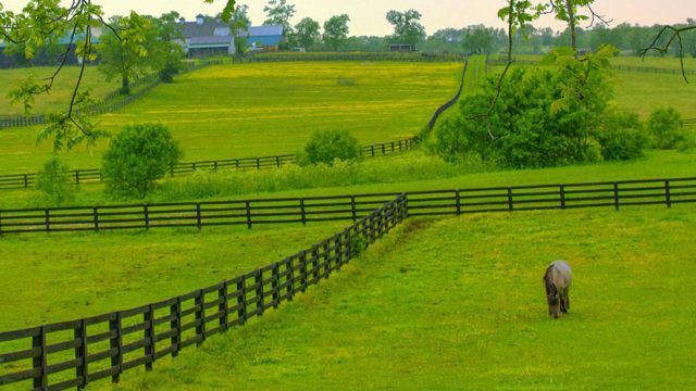 Choosing Superior Fence & Rail Of Chattanooga As Your Horse Fence Builders Just Makes Good Horse Sense!