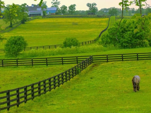 Choosing Superior Fence & Rail Of Chattanooga As Your Horse Fence Builders Just Makes Good Horse Sense!